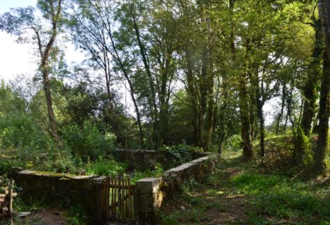 Lavoir de Fénery, restauré dans le cadre du projet Nature et Transition