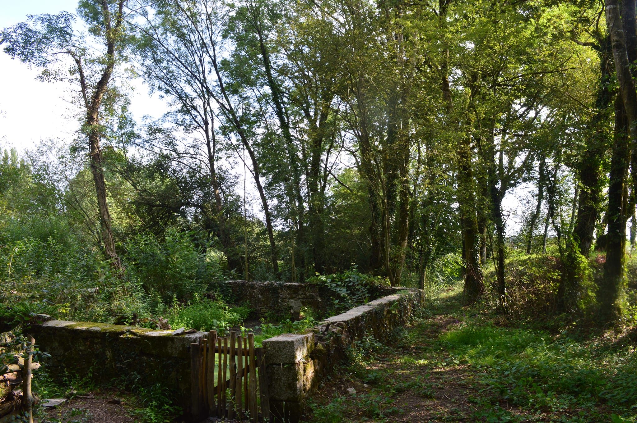 Lavoir de Fénery, restauré dans le cadre du projet Nature et Transition