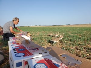 3 projets lauréats du Fonds Vert