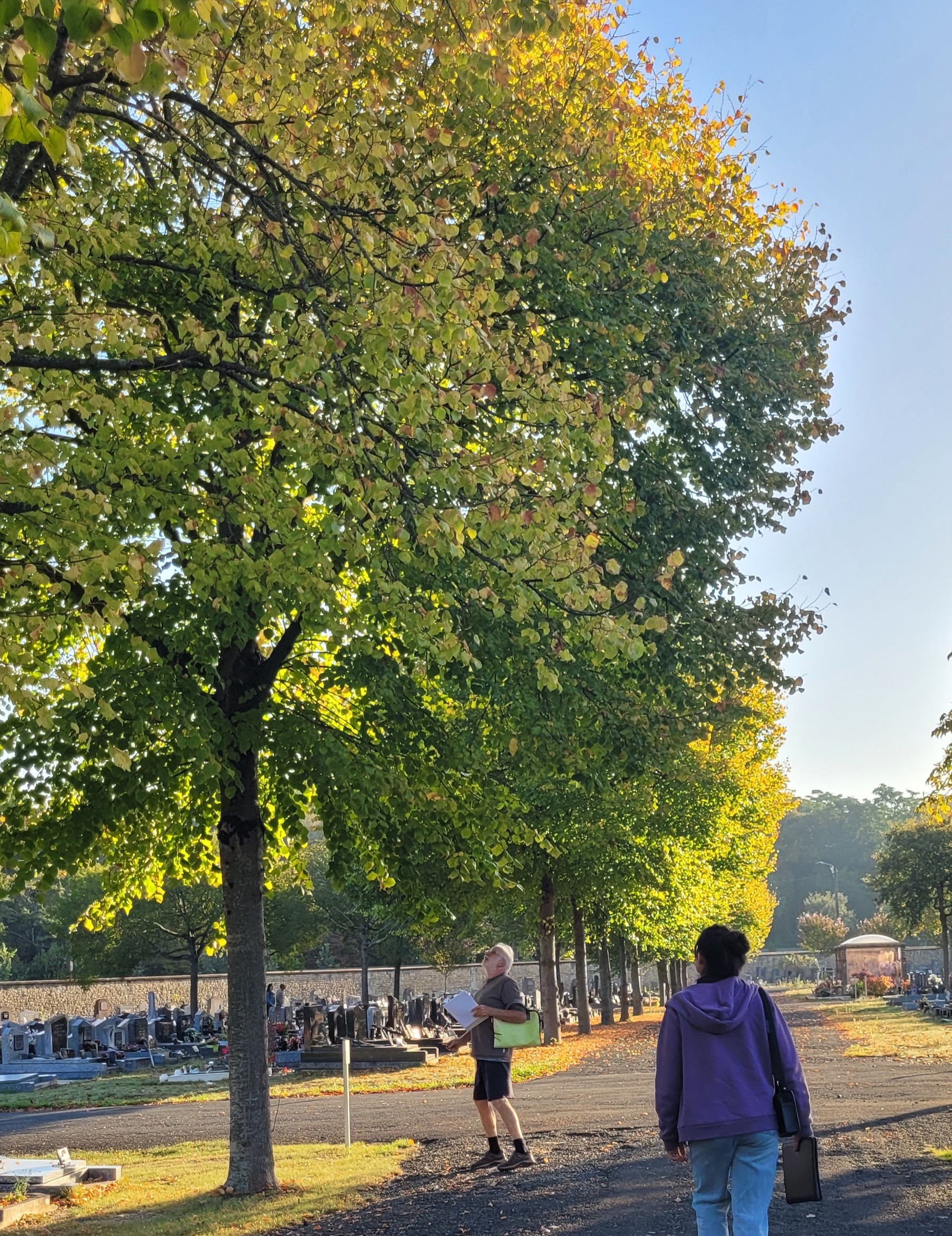 bénévole vérifiant la présence de nichoir dans un arbre