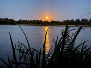 Accompagnement du GAEC Les prairies de l’Ajonc